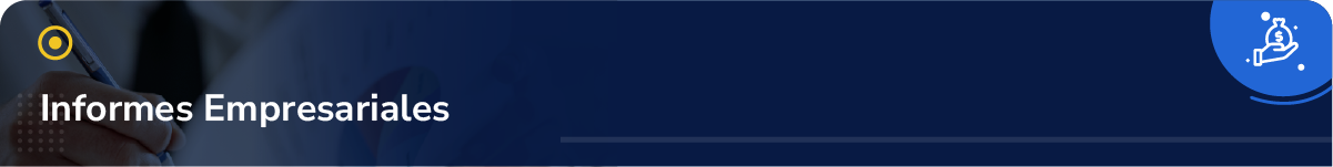 Informes empresariales