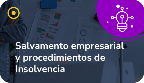 Salvamento empresarial y procedimientos de Insolvencia